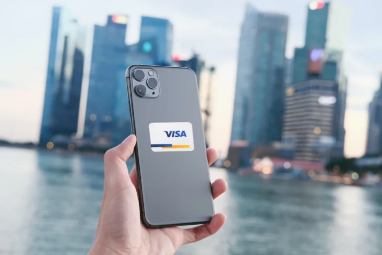 Visa Screen Cleaner Sticker